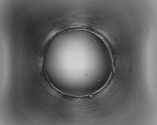 X0000115241355200911061139