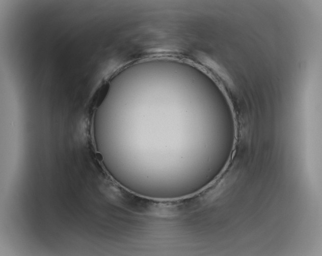 X0000115241357200911061139