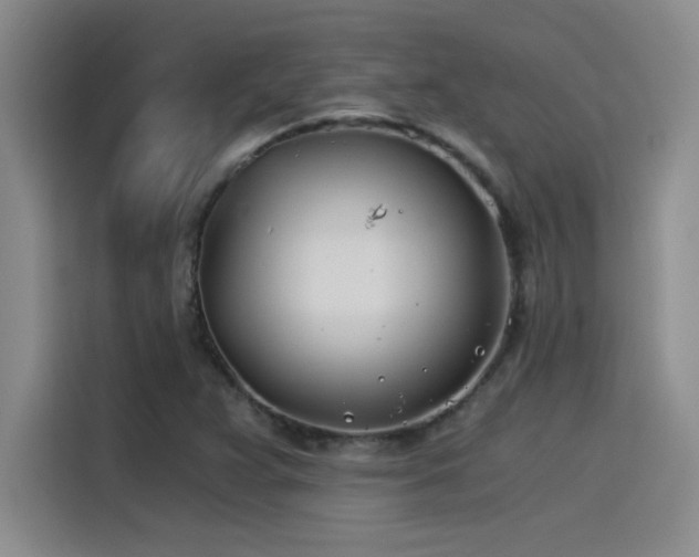 X0000115241359200911061139