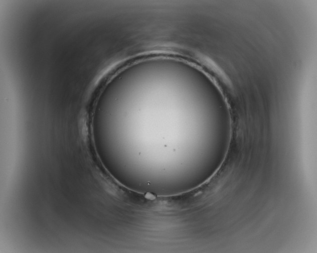 X0000115241360200911061139
