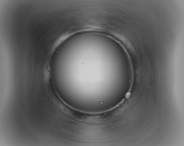 X0000115241363200911061139