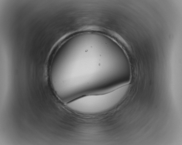 X0000115241364200911061139
