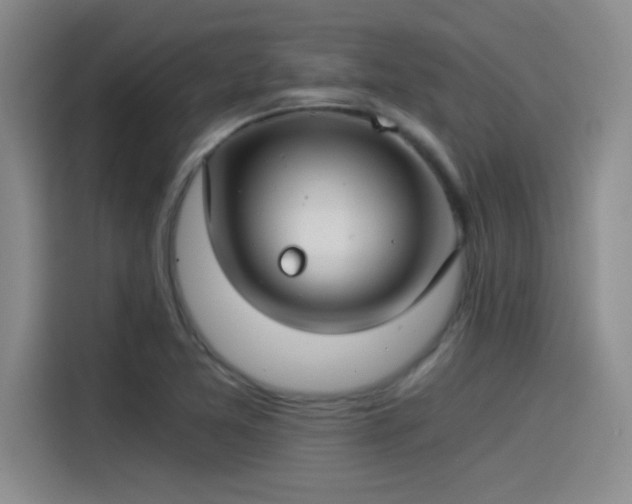 X0000115241365200911061139