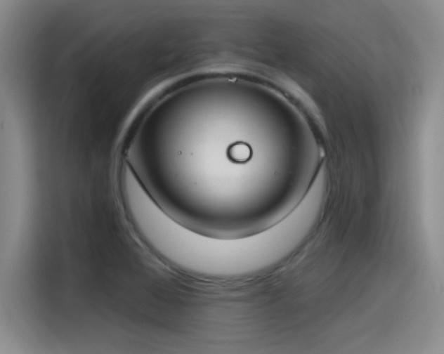 X0000115241368200911061139
