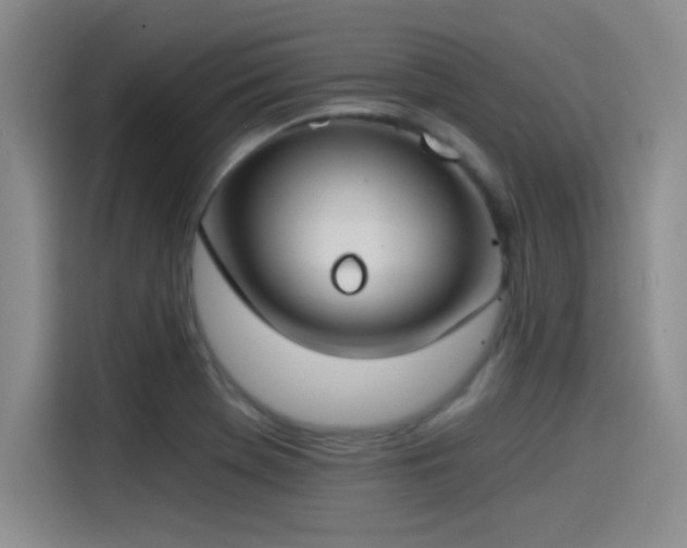 X0000115241369200911061139