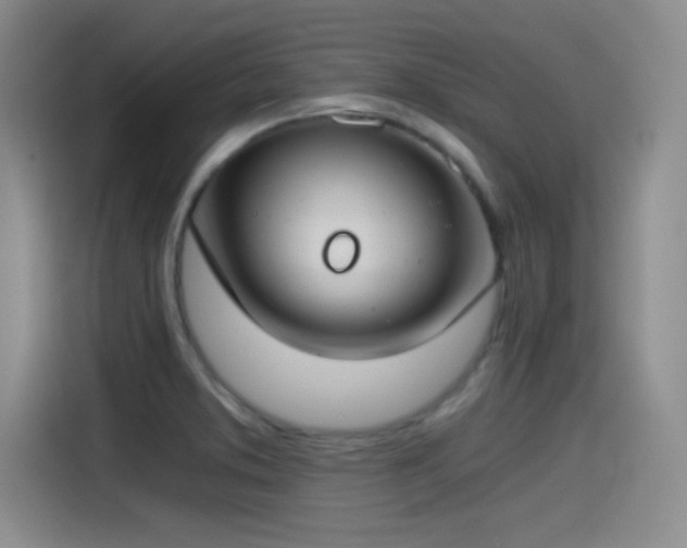 X0000115241373200911061139