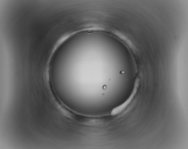 X0000115241375200911061139