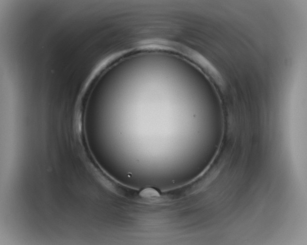 X0000115241376200911061139