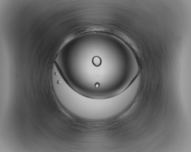 X0000115241377200911061139