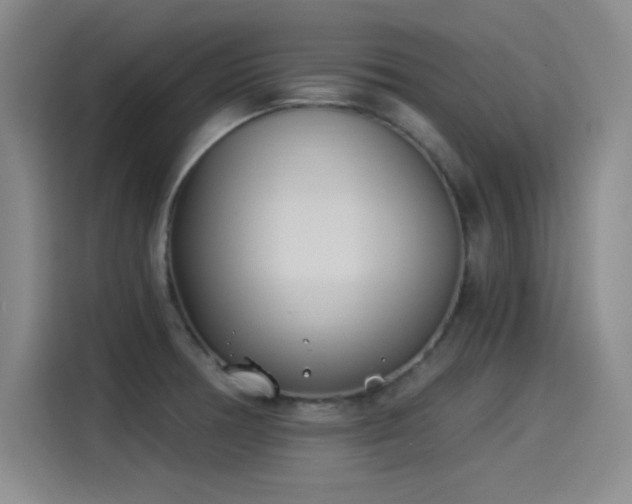 X0000115241378200911061139