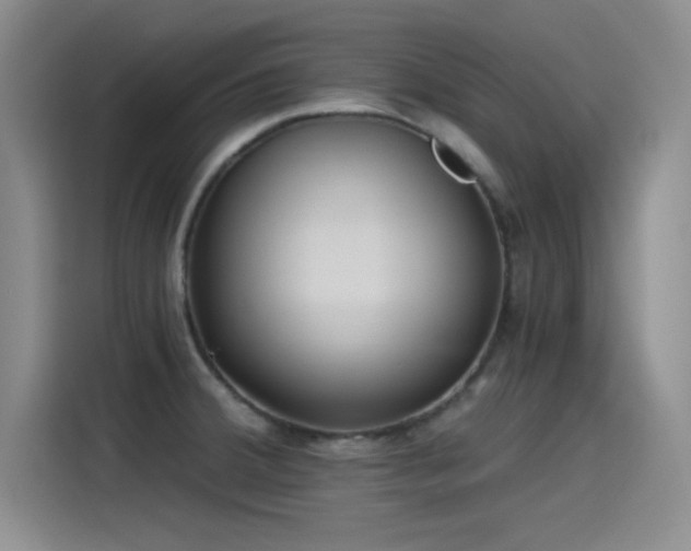 X0000115241380200911061139
