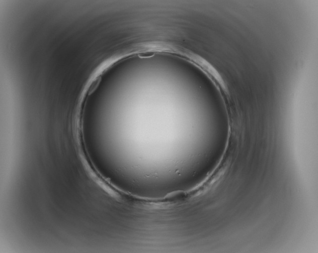 X0000115241381200911061139