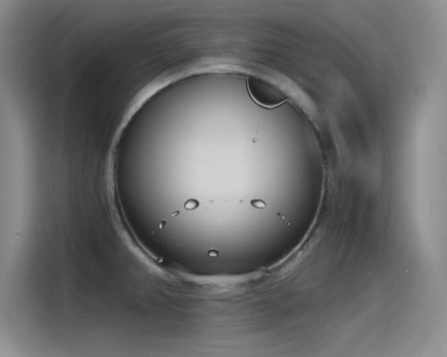 X0000115241382200911061139
