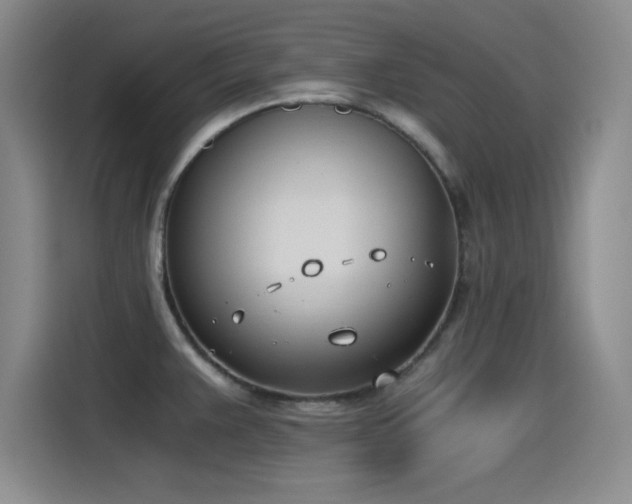 X0000115241383200911061139