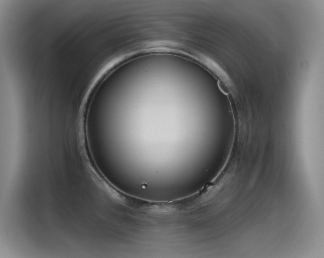 X0000115241384200911061139