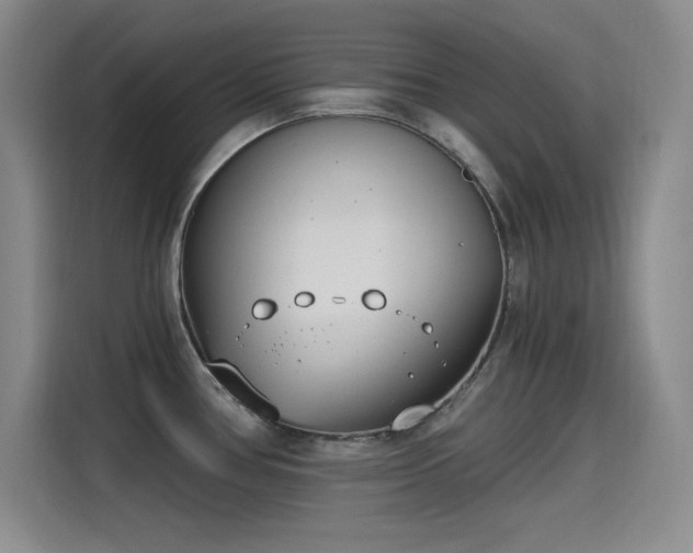 X0000115241386200911061138