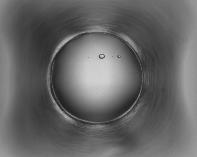 X0000115241387200911061138