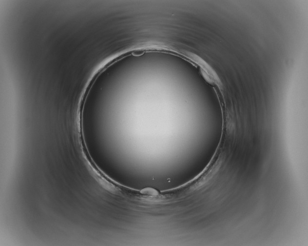 X0000115241388200911061138