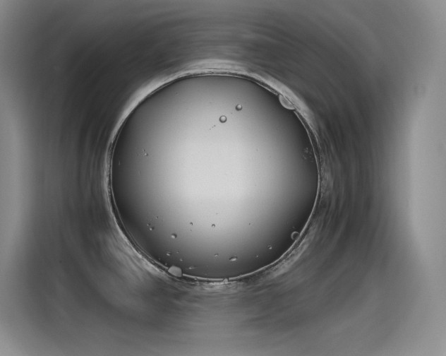X0000115241390200911061138