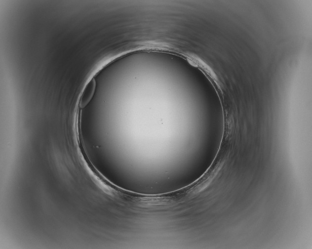 X0000115241391200911061138