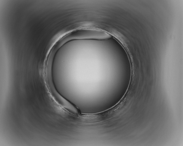 X0000115241392200911061138