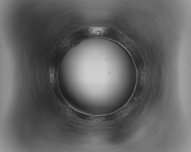 X0000115241394200911061138