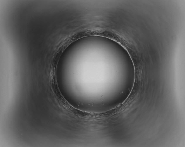 X0000115241397200911061138