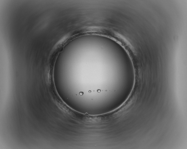 X0000115241403200911061138