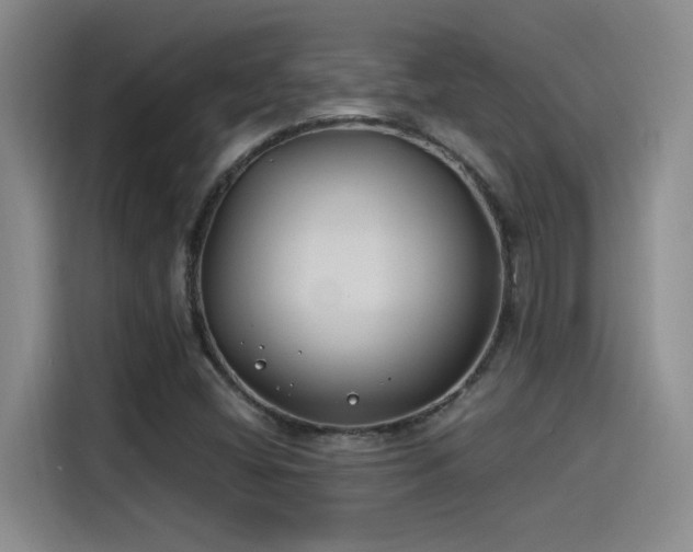 X0000115241404200911061138