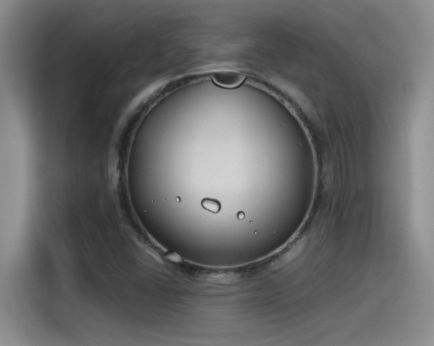 X0000115241406200911061138