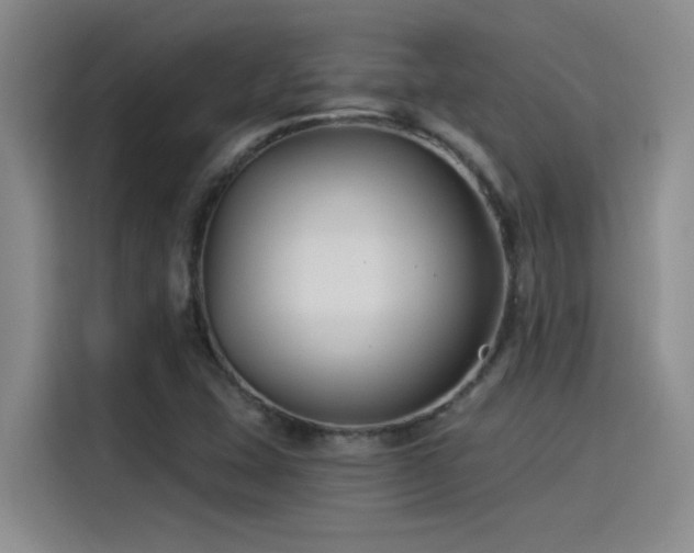 X0000115241407200911061138