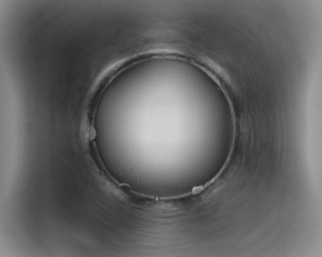X0000115241408200911061138