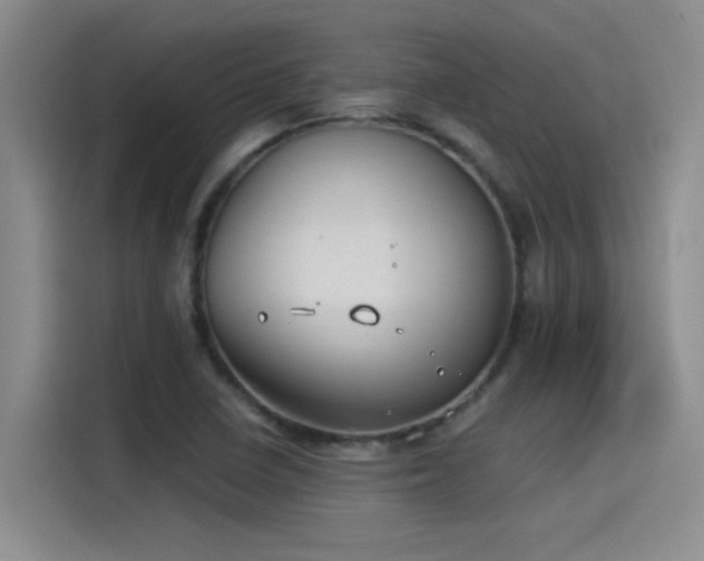 X0000115241410200911061138