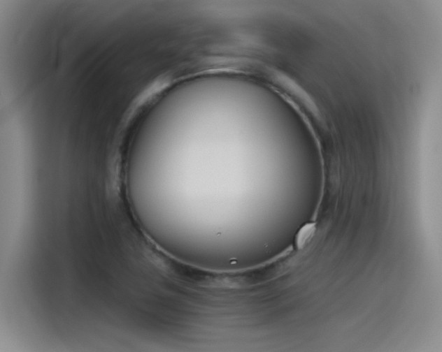 X0000115241411200911061138