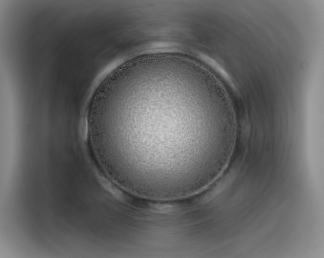 X0000115241413200911061138