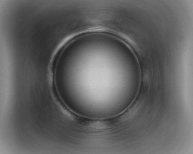 X0000115241414200911061138