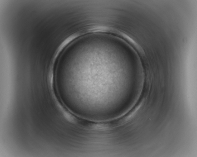 X0000115241418200911061138