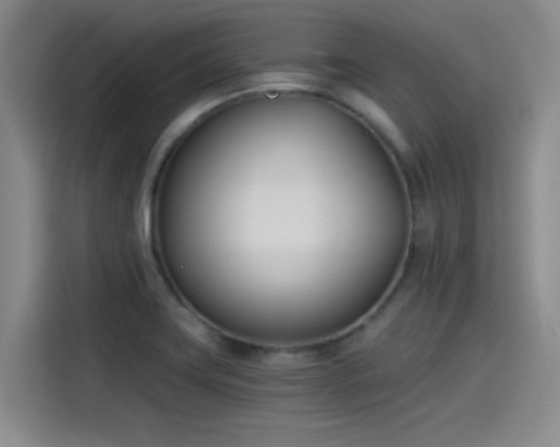X0000115241419200911061138