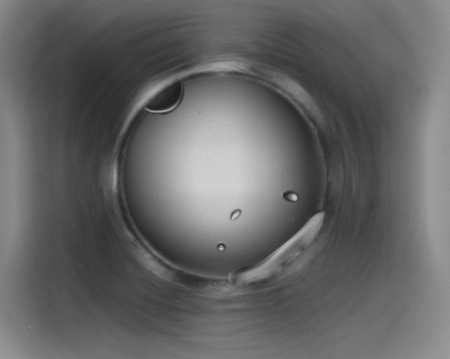 X0000115241420200911061138