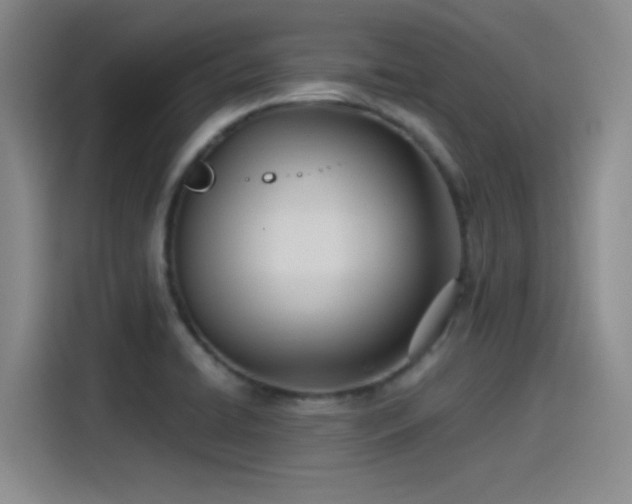 X0000115241422200911061138