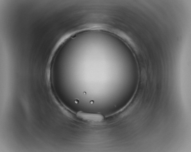 X0000115241424200911061138