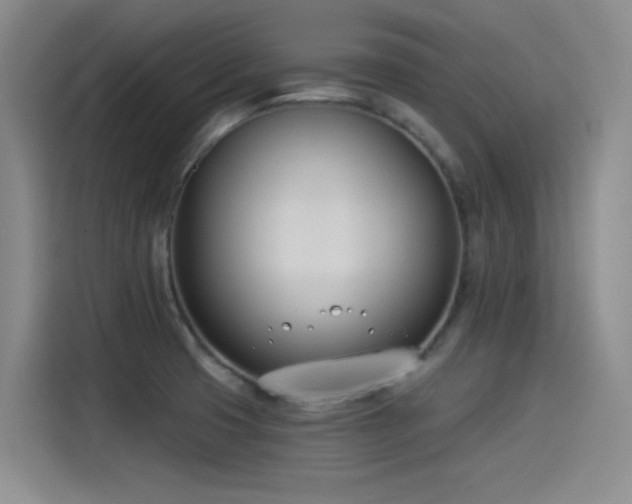 X0000115241425200911061138