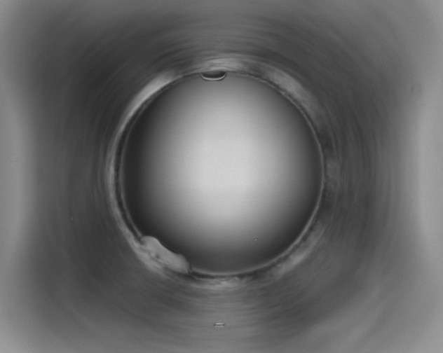 X0000115241426200911061138