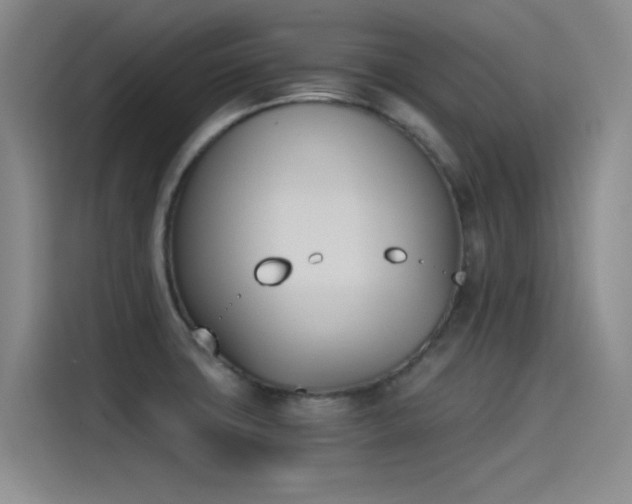 X0000115241427200911061138