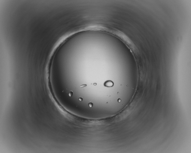 X0000115241430200911061138