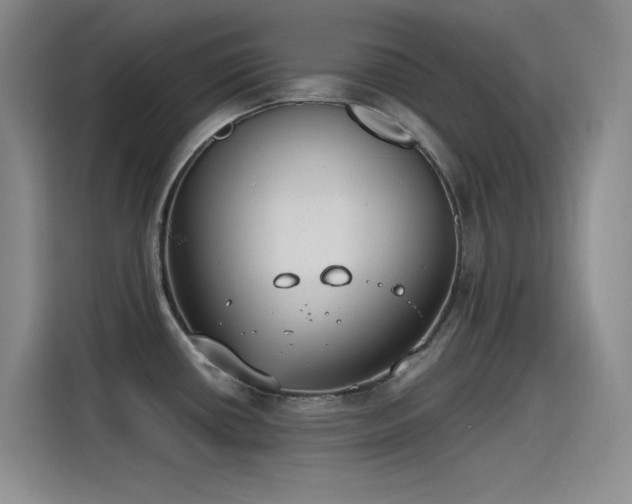 X0000115241434200911061138