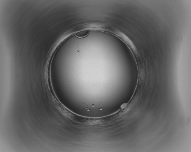 X0000115241435200911061138