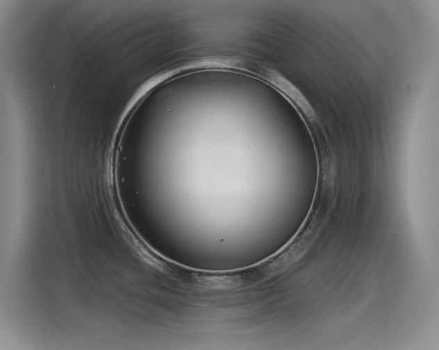 X0000115241436200911061138