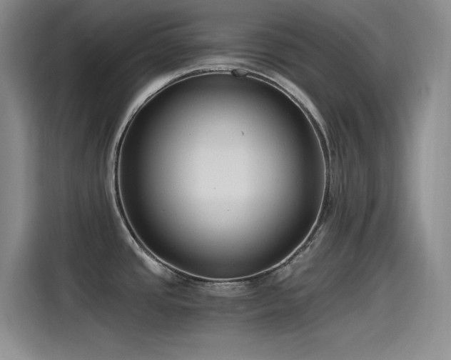 X0000115241437200911061138