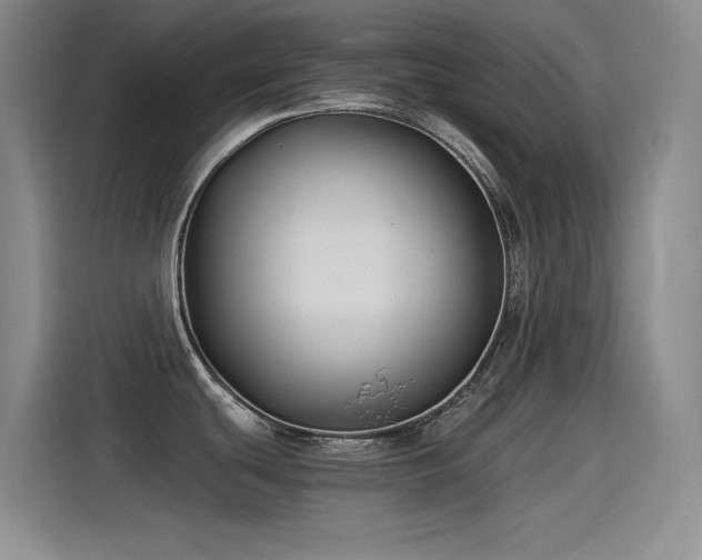 X0000115241439200911061138
